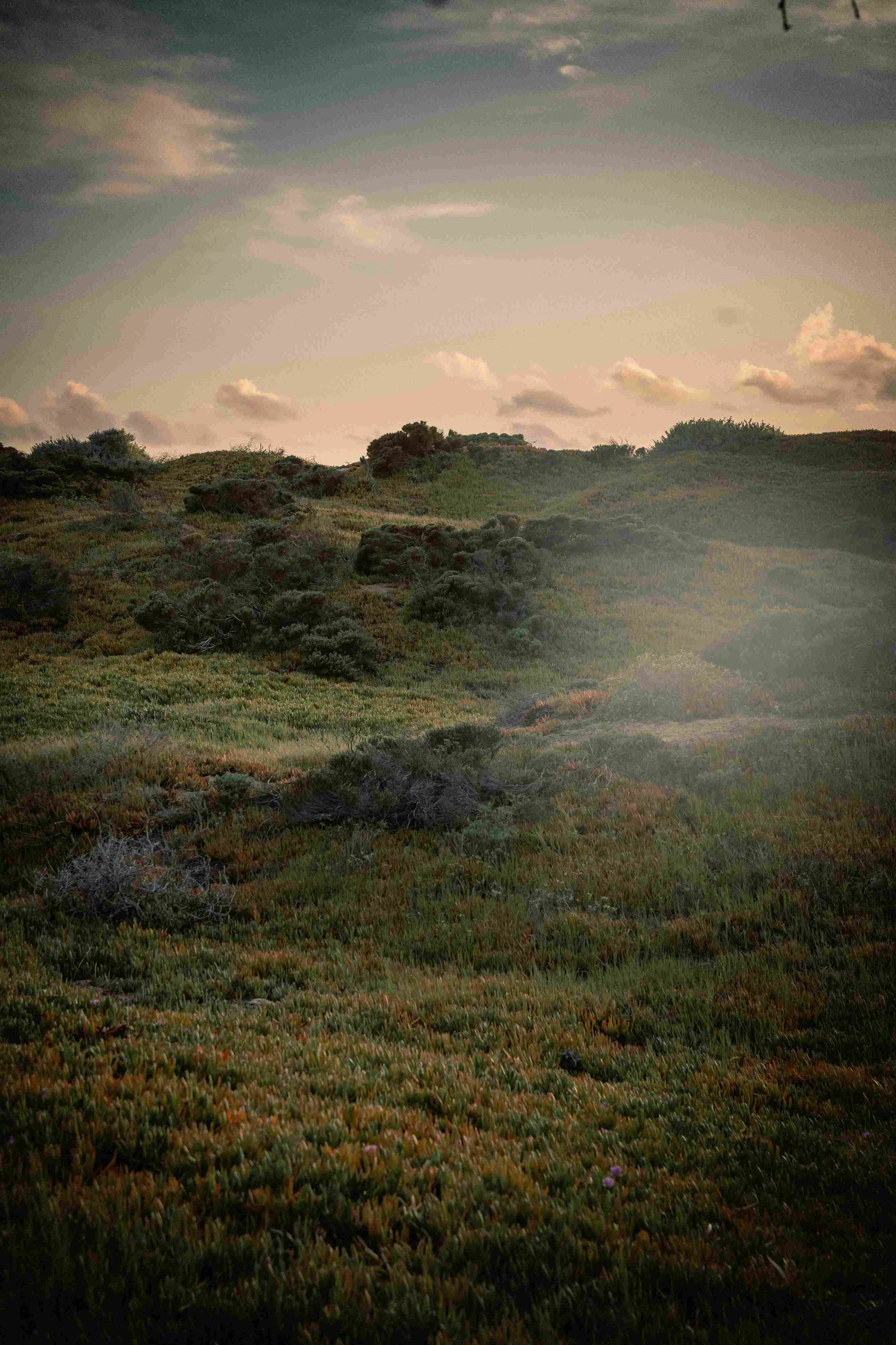 pexels-james-collington-2147687246-31150620_11zon (2).jpg